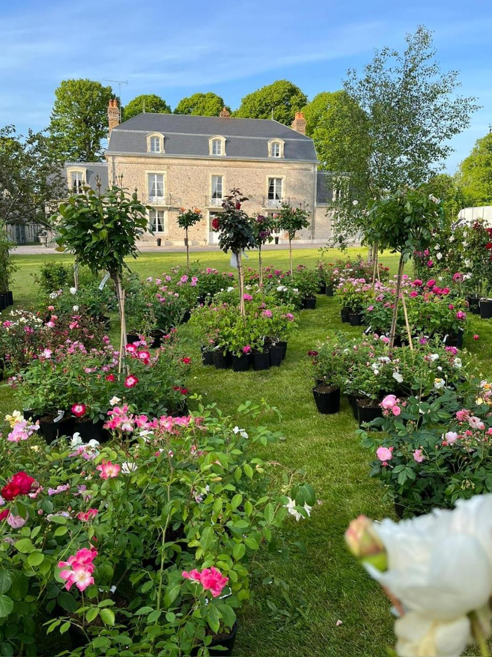 Le Manoir Du Ribardon Acomodação com café da manhã Neuvy-au-Houlme Exterior foto